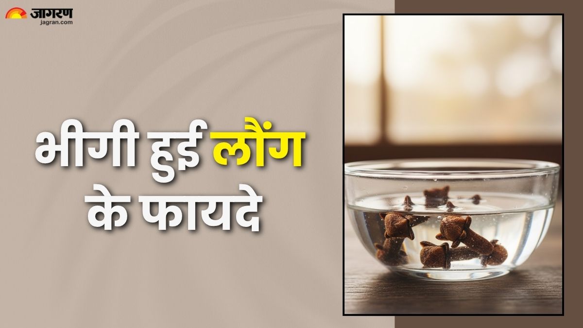 soaked cloves benefits health benefits of soaked cloves