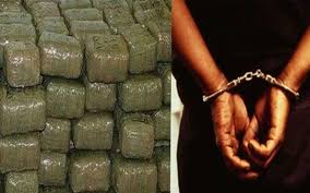 ganja smuggling busted national human rights car used in bihar