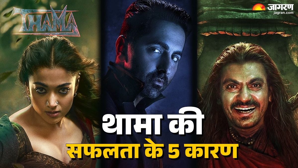 these five reason ayushmann khurrana thamma ruled over box office success details inside