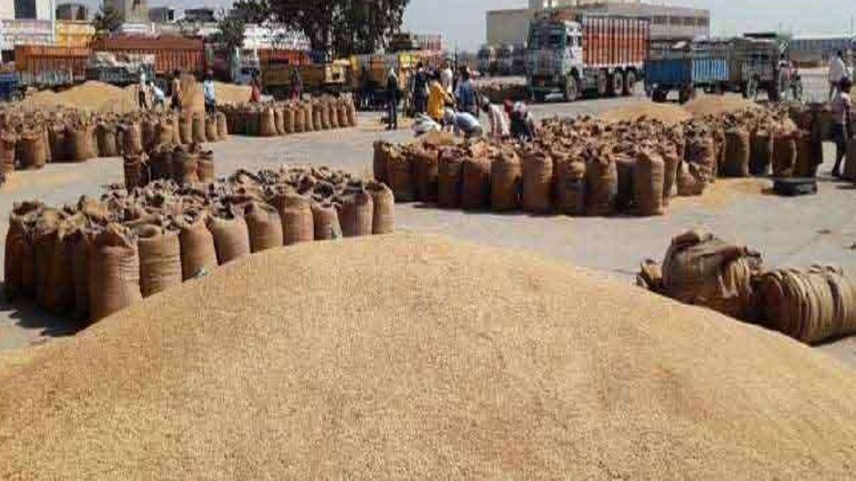 up government begins paddy procurement in eastern uttar pradesh