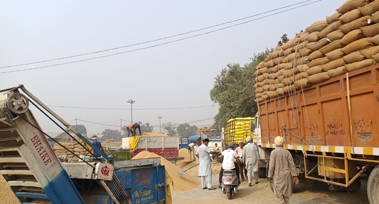 slow lifting causes congestion at mandi farmers demand speed up