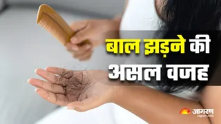 Hair Fall के पीछे जिम्मेदार हो सकती है प्रोटीन की कमी (Image Source: Freepik)