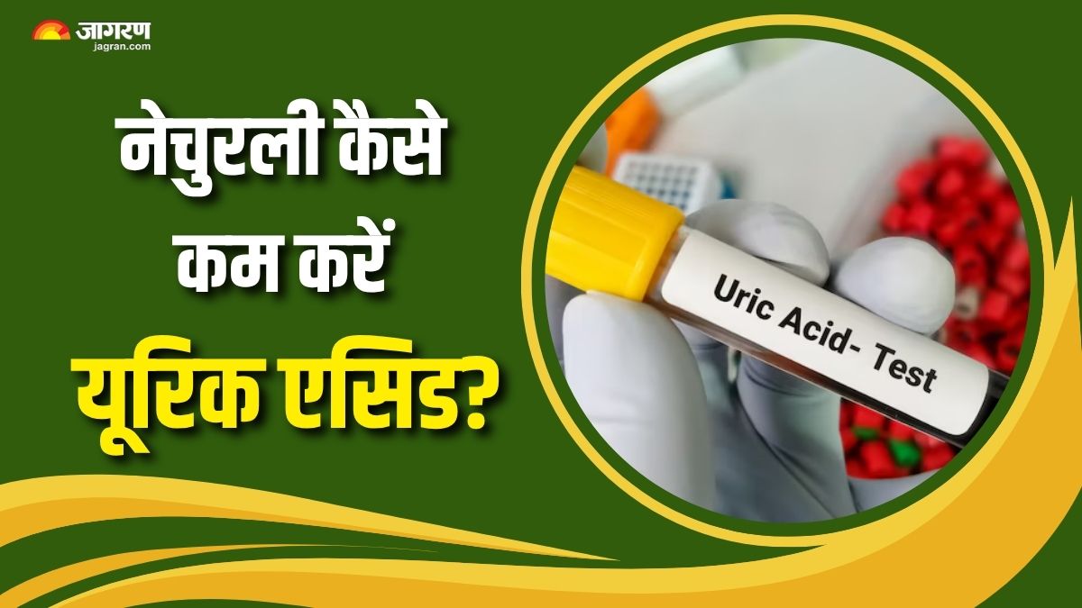 5 vegetables which can help lower uric acid naturally check details here