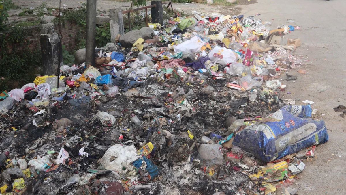 bengalurus unique initiative garbage dumping festival for litterers