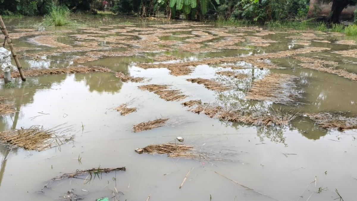 siwan flooded cyclone montha causes waterlogging crop damage