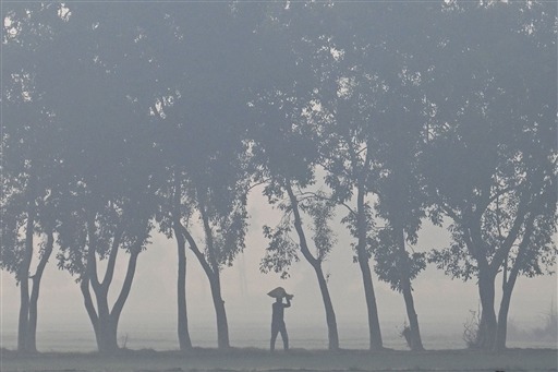 kanpur weather update cold winds expected after cyclone montha weakens