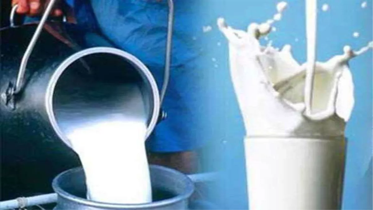 adulterated milk one year jail fine for milk vendor in pilibhit