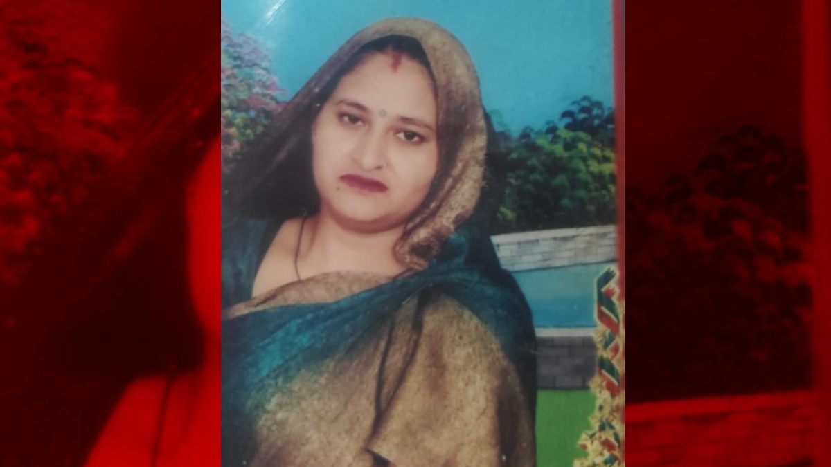 woman dies as monkeytriggered balcony collapse in ghaziabad