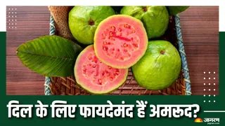दिल की बीमारियों से कैसे बचाएगा अमरूद? (Picture Courtesy: Freepik)