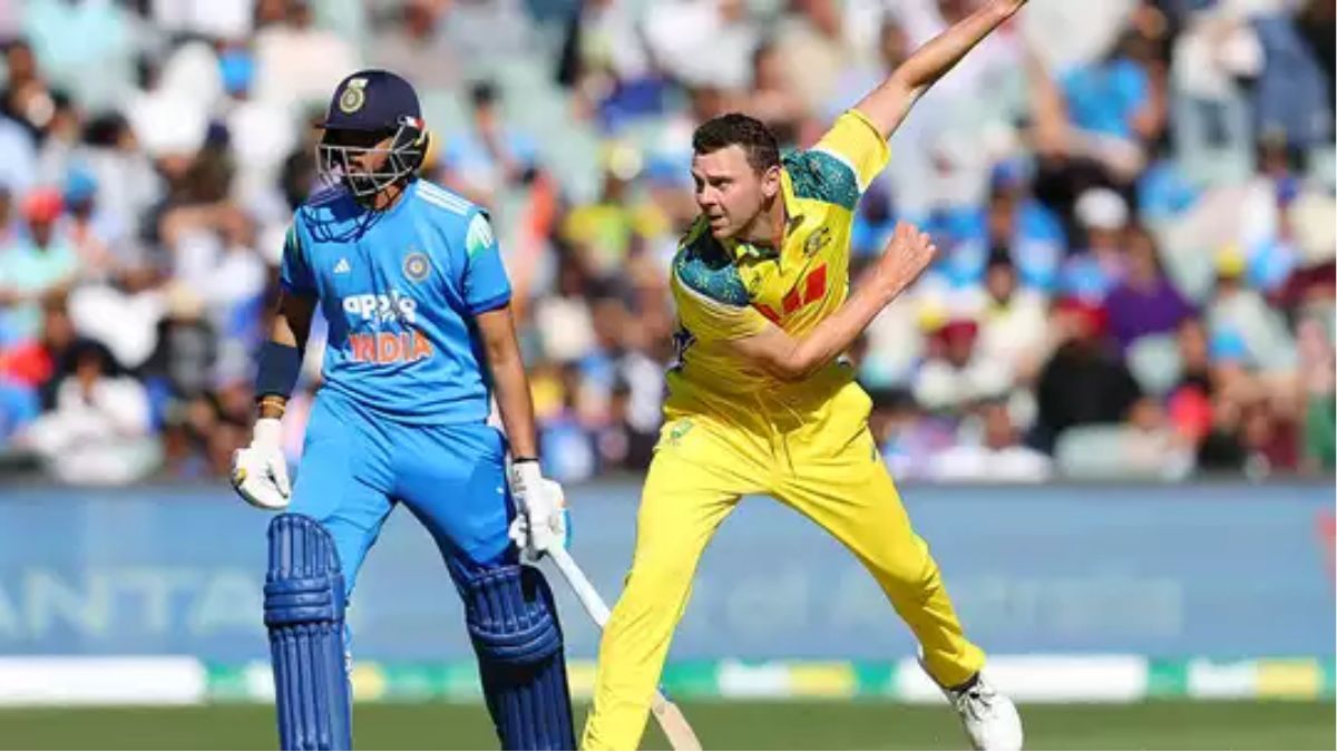 australia vs india 3rd t20i josh hazlewood
