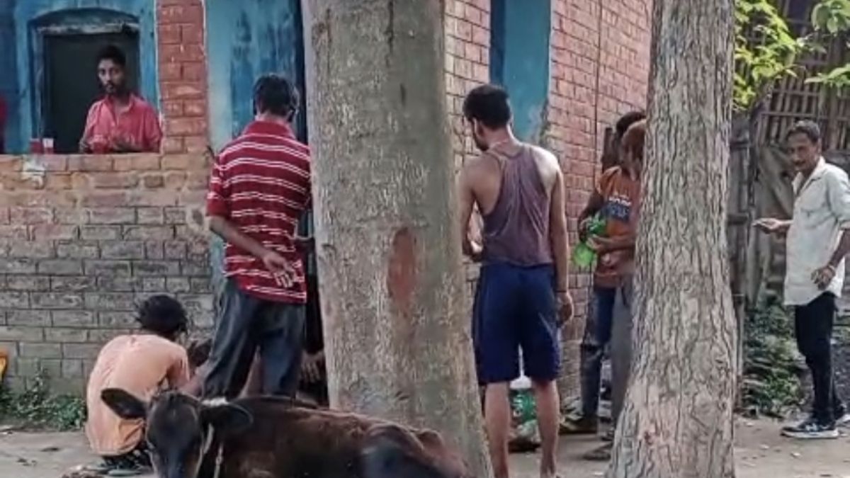 bihar election katihar open liquor sale violates code of conduct raises law order concerns