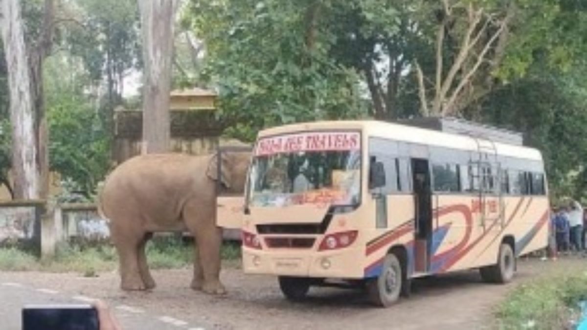 wild elephant terrorizes villagers in latehar damages bus