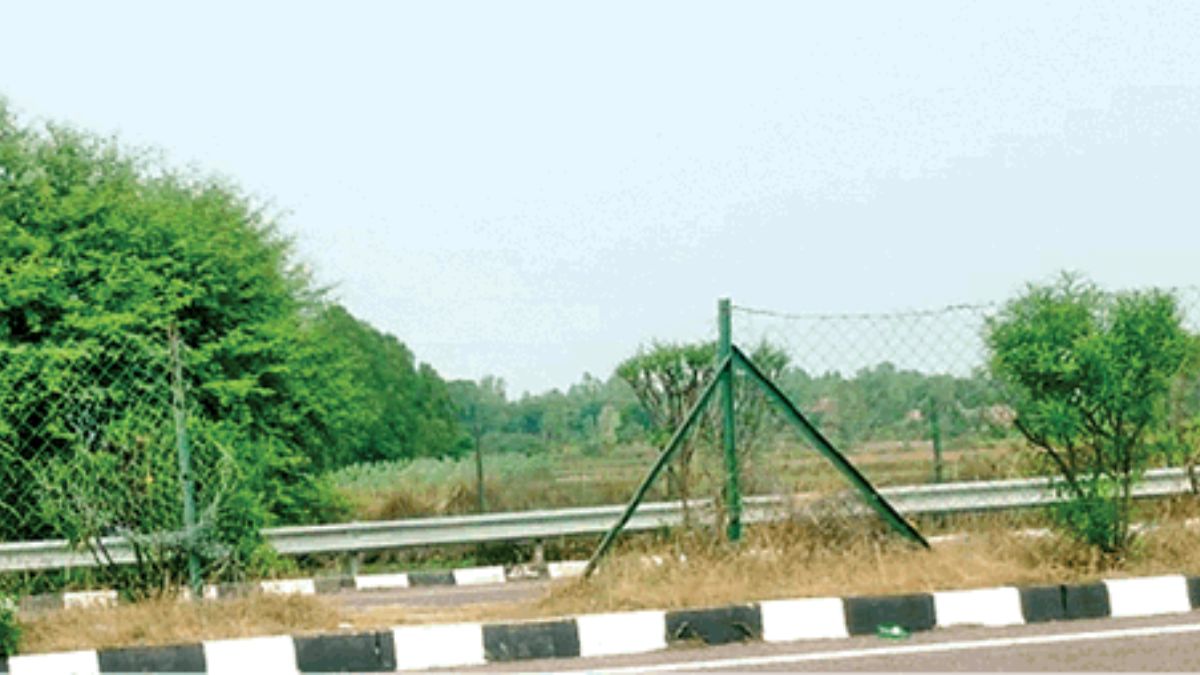 agralucknow expressway safety concerns and accident risks