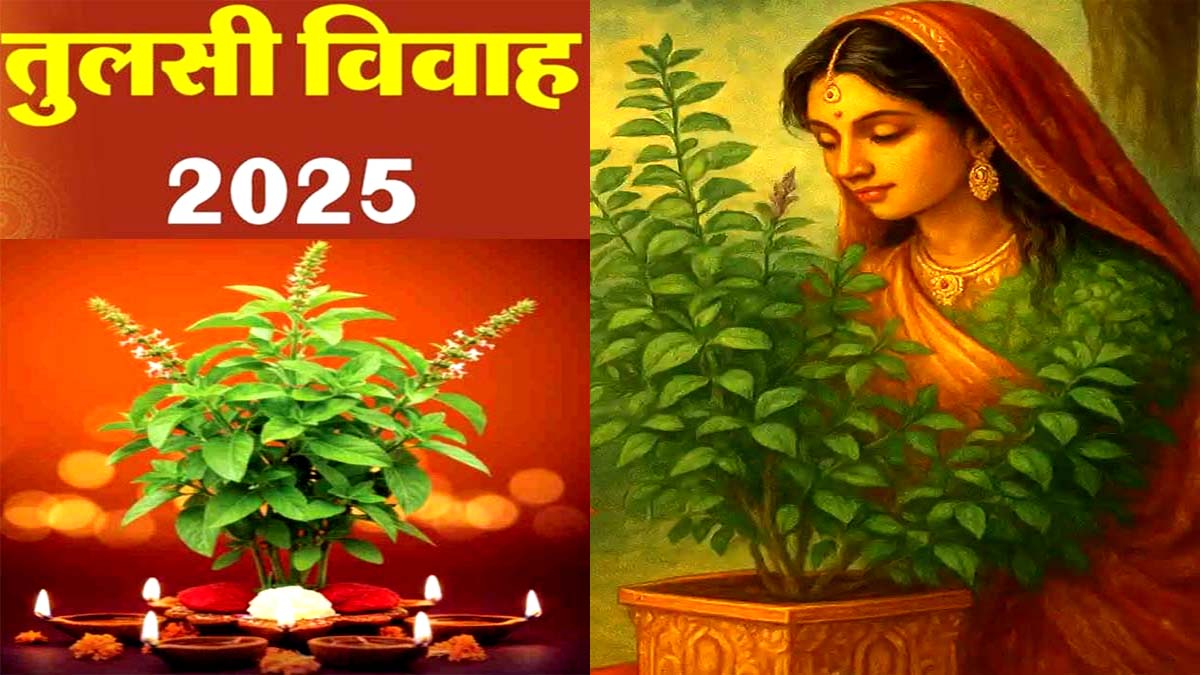 tulsi vivah kab hai tulsi vivah 2025 shubh muhurat puja vidhi bhog and significance of tulsi puja tulsi vivah kab hai 2025