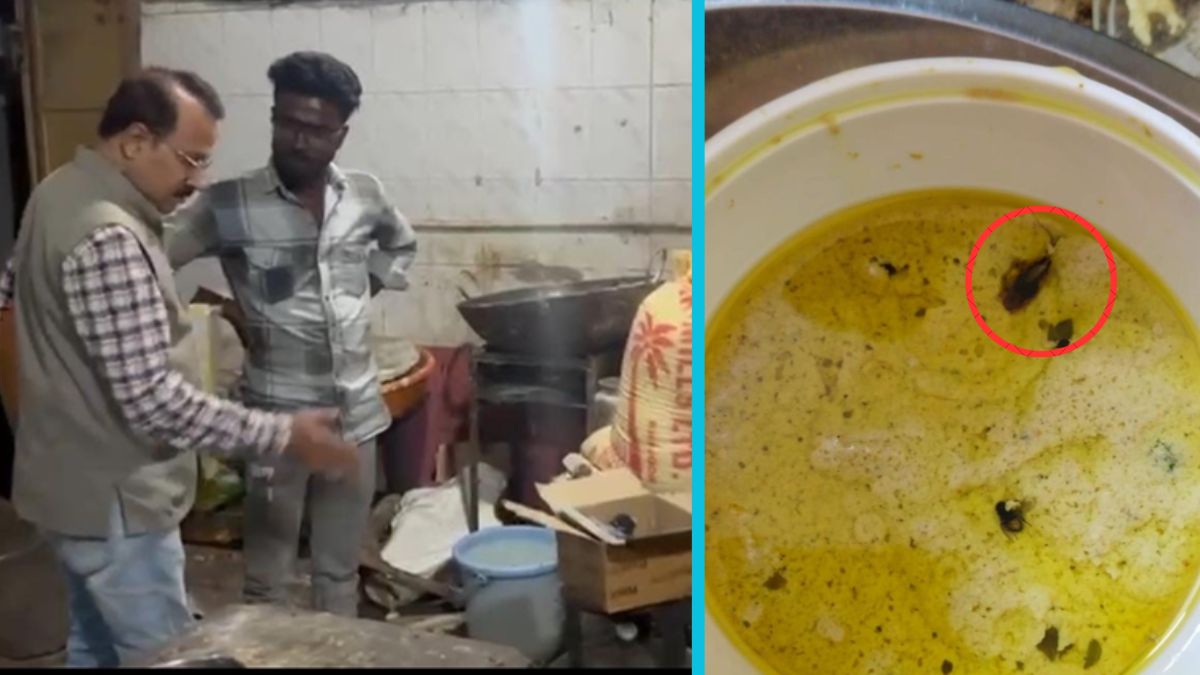 karim restaurant shut down after cockroach found in chicken kali mirch