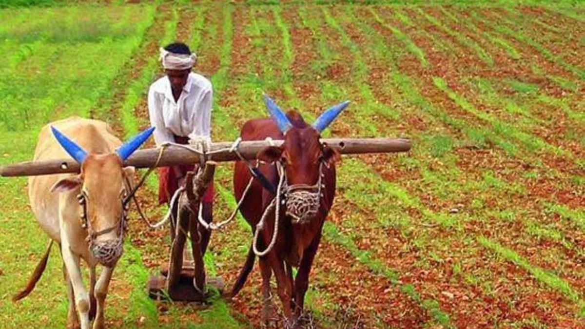 farmer registry update 17 lakh farmers in vindhya region may miss pm kisan samman nidhi installment