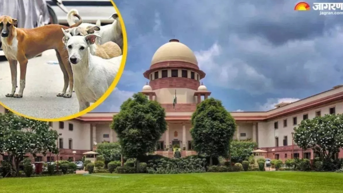 delhi government prepares affidavit after supreme court scolding