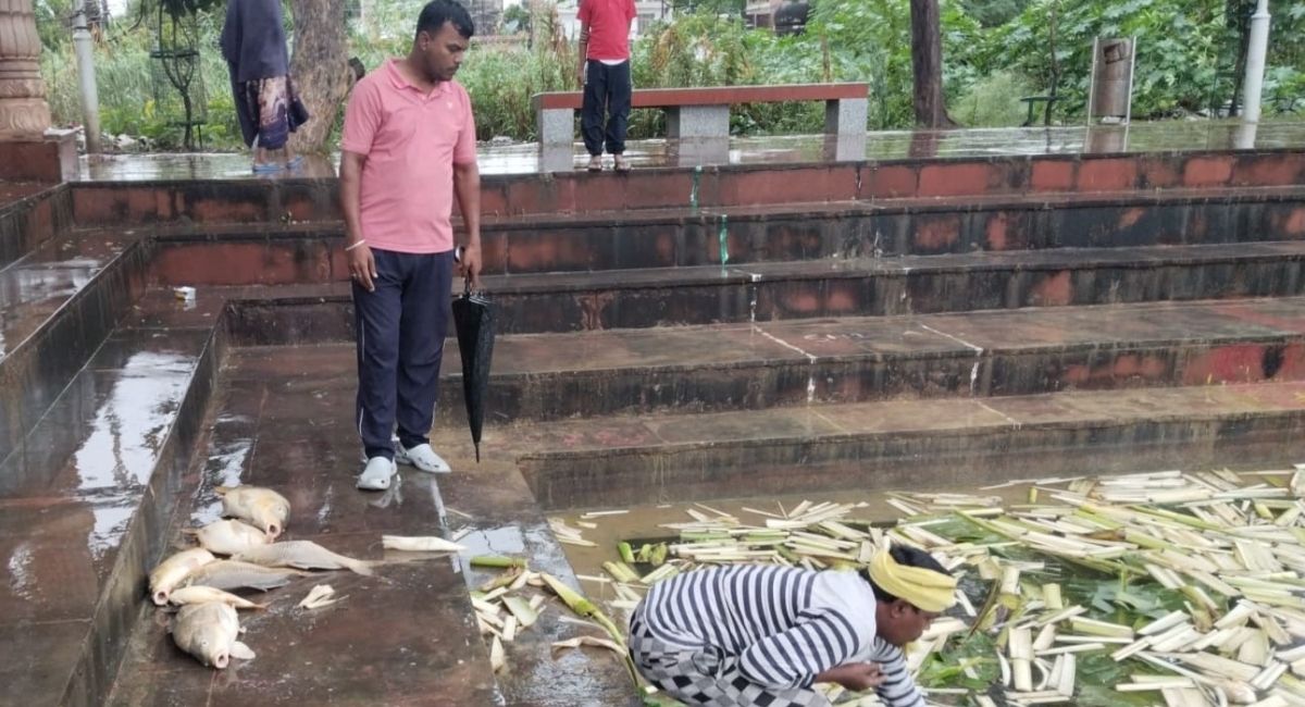 fish deaths in gorakhpur suryakund dham lake spark outrage