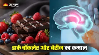 याददाश्त बढ़ाने और स्ट्रेस कम करने में मदद करेंगी डार्क चाकलेट और बेरीज (Image Source: Freepik)