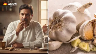 Raw Garlic Benefits: सुबह सवेरे लहसुन की कली खाने के हैं ढेरों फायदे (Image Source: AI-Generated)
