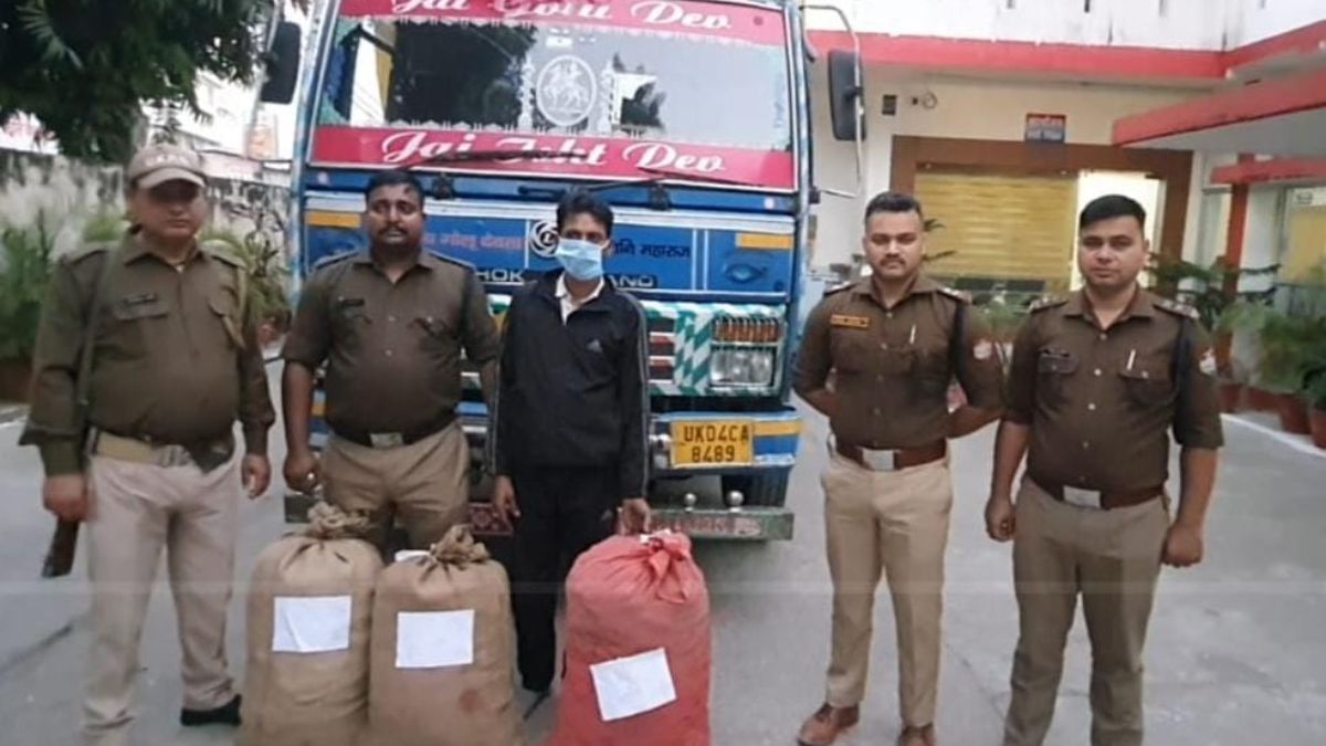 vehicle owner arrested with cannabis in kaladhungi police seize 225 lakh worth of drugs