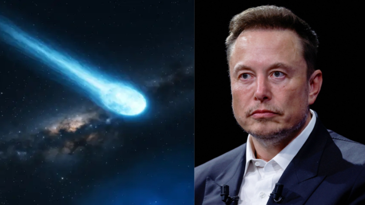 elon musk on aliens and suicide the mystery of 3iatlas