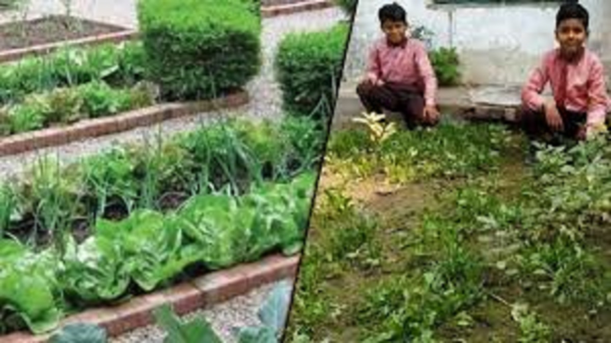 nutrition garden progress in up schools status challenges and funding