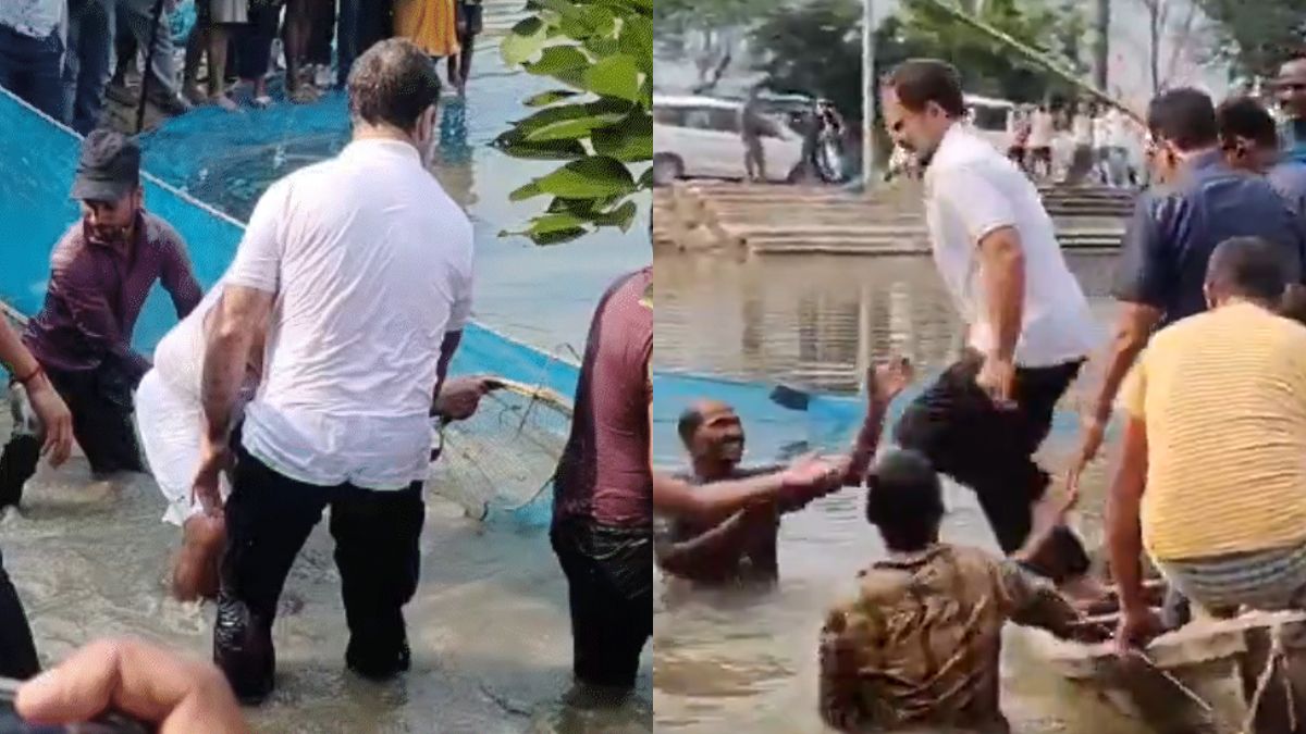 rahul gandhi jumps into pond in begusarai bihar election 2025