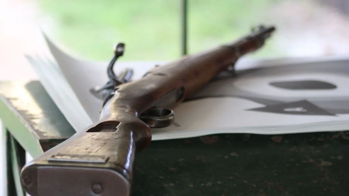 mokama murder case administration orders license weapon deposit