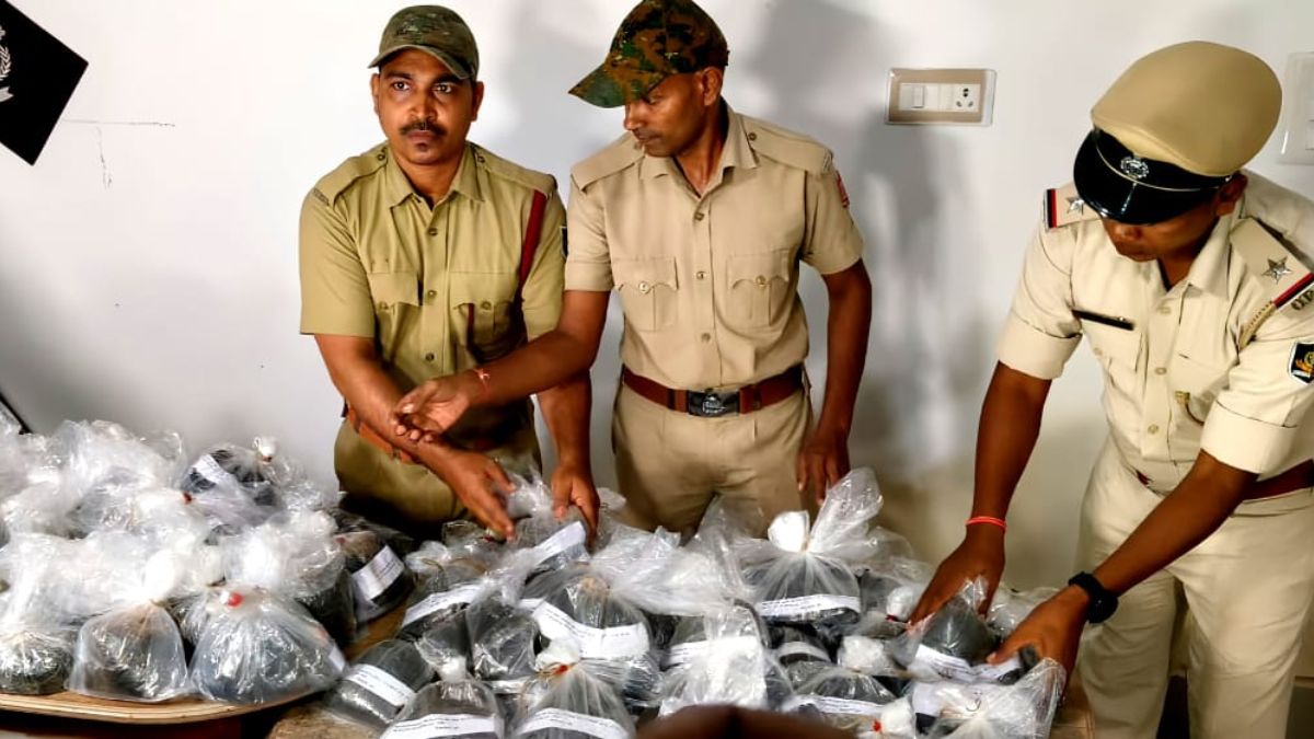 odisha malkangiri 60 litres of hemp oil seized worth rs 8 crore