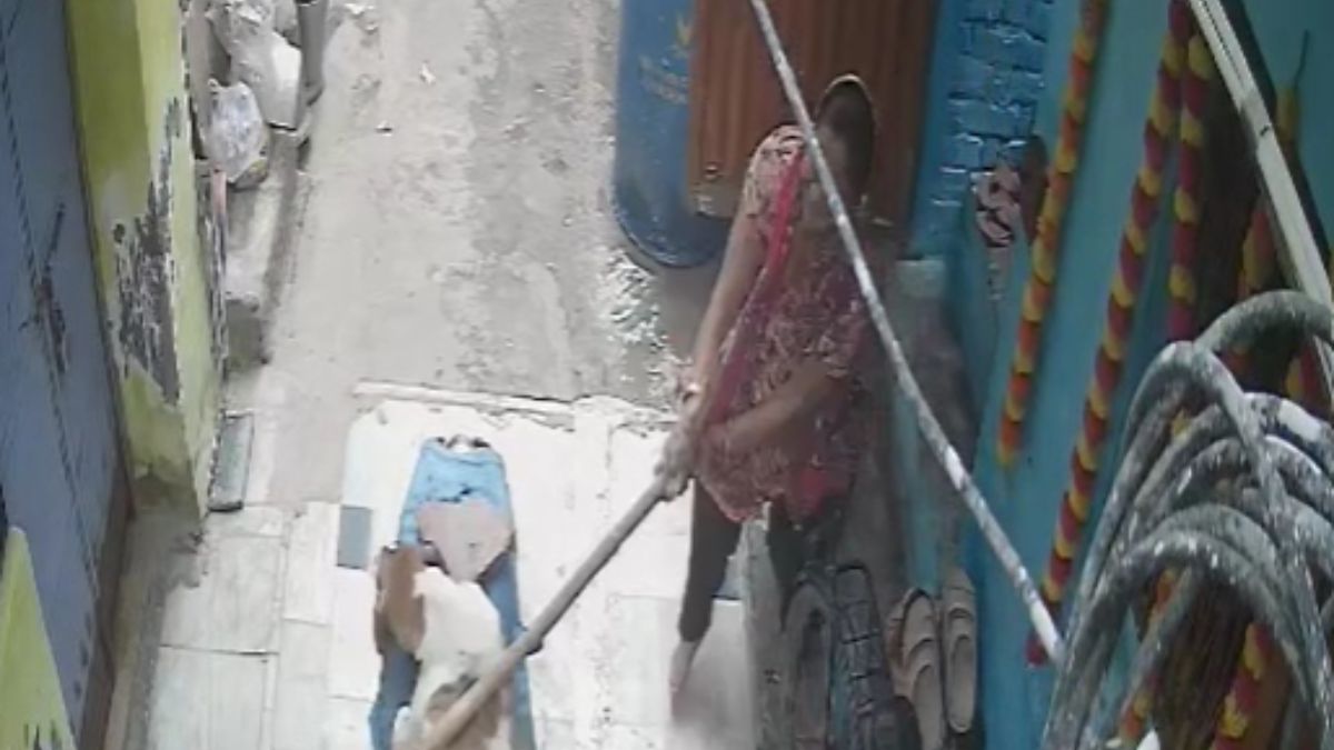 a woman beat a dog sitting on a bike with a stick