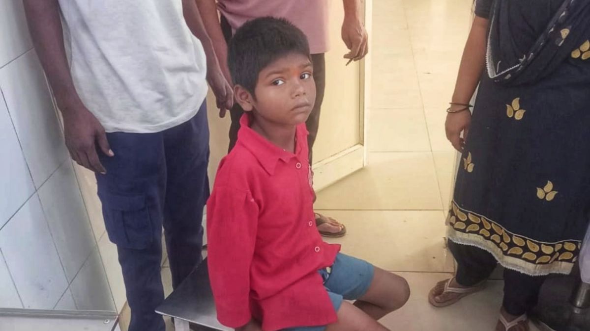 ghaziabad stray dog attack 9yearold girl injured