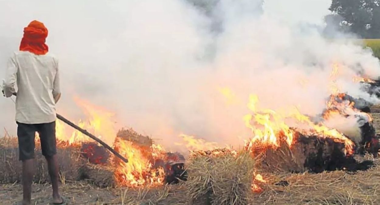 four farmers booked for burning stubble in dera baba nanak