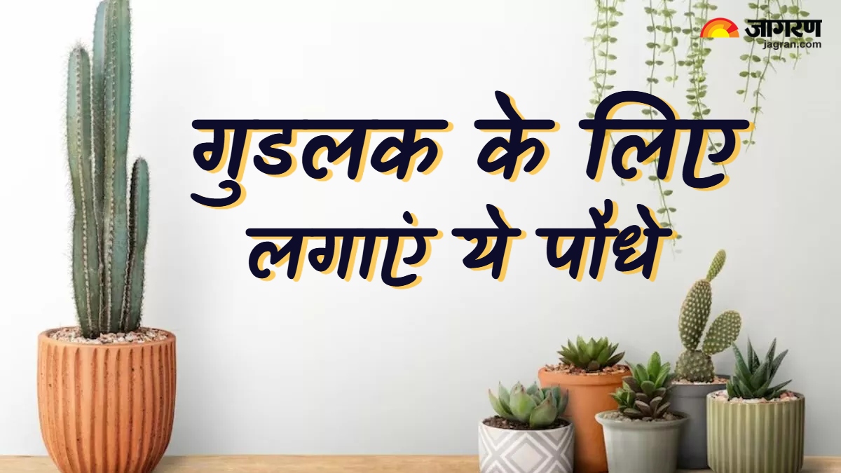 vastu plants for home which plants bring good luck and prosperity