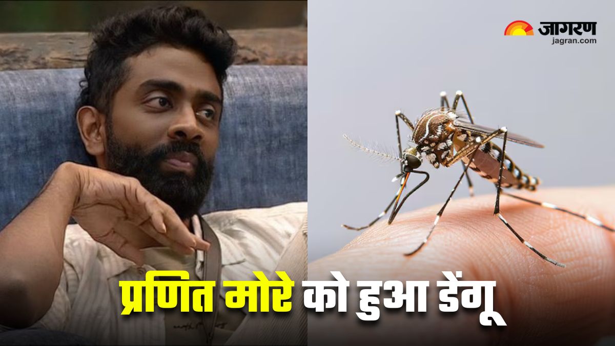 pranit more dengue out of bigg boss know symptoms and prevention measures