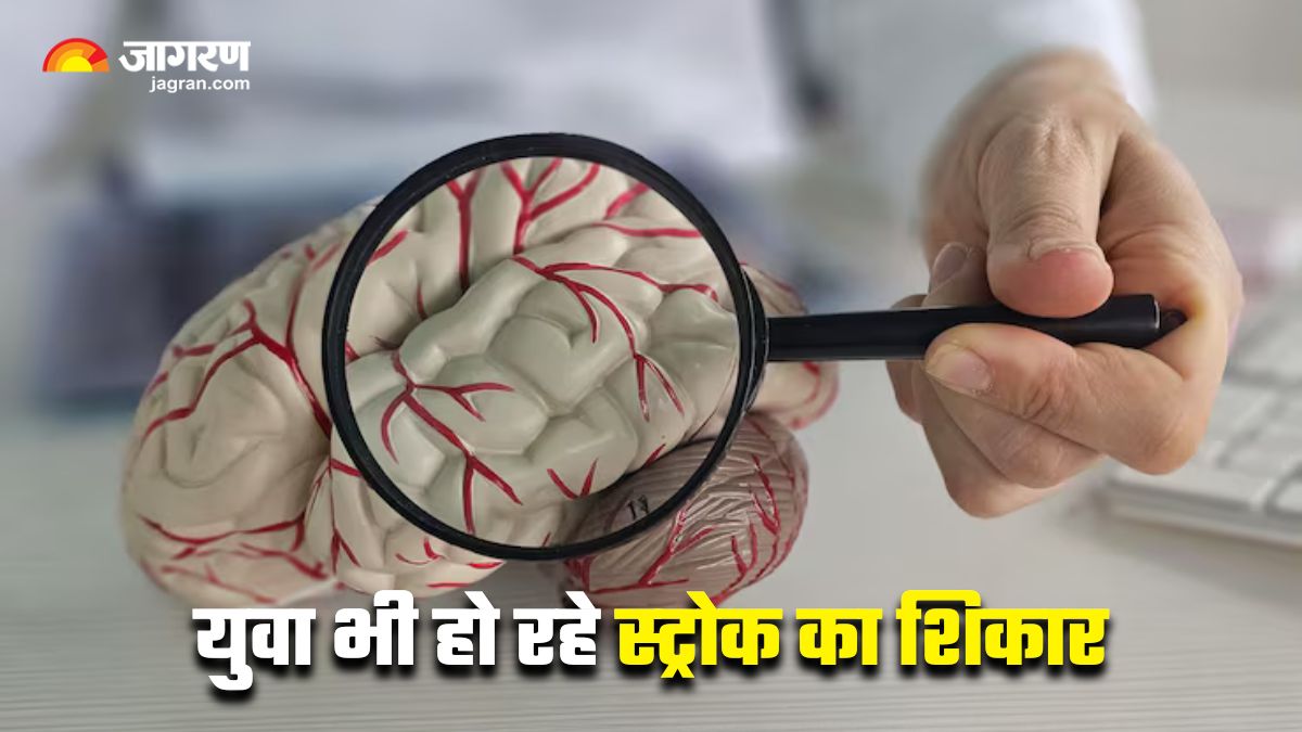 stroke in india 15 lakh cases reported yearly air pollution and stress fuel rise