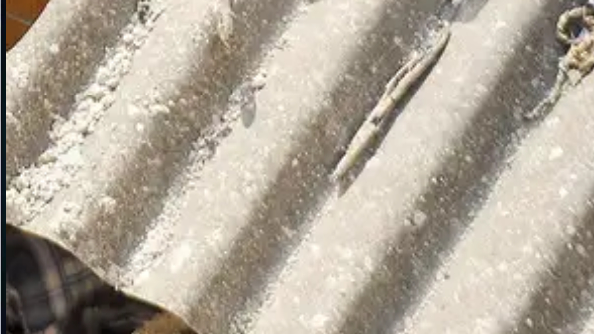 ngt refuses immediate ban on asbestos sheets in schools orders ntr