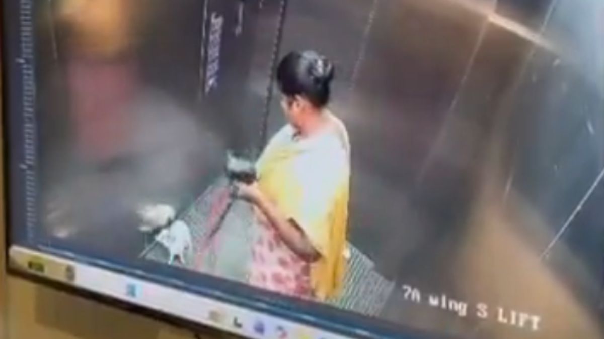 bengaluru maid kills pet dog in elevator cctv footage viral