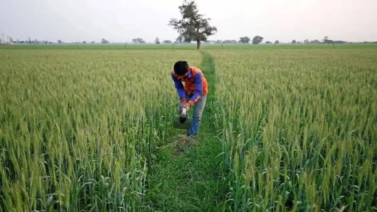 fasal bima yojana farmers receive meager claims agriculture minister orders probe