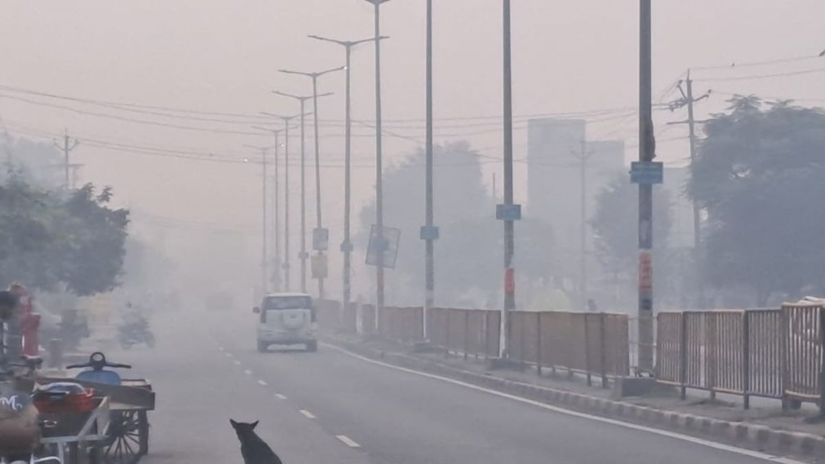 dense fog enveloped the hathras district causing inconvenience to residents know weather forecast