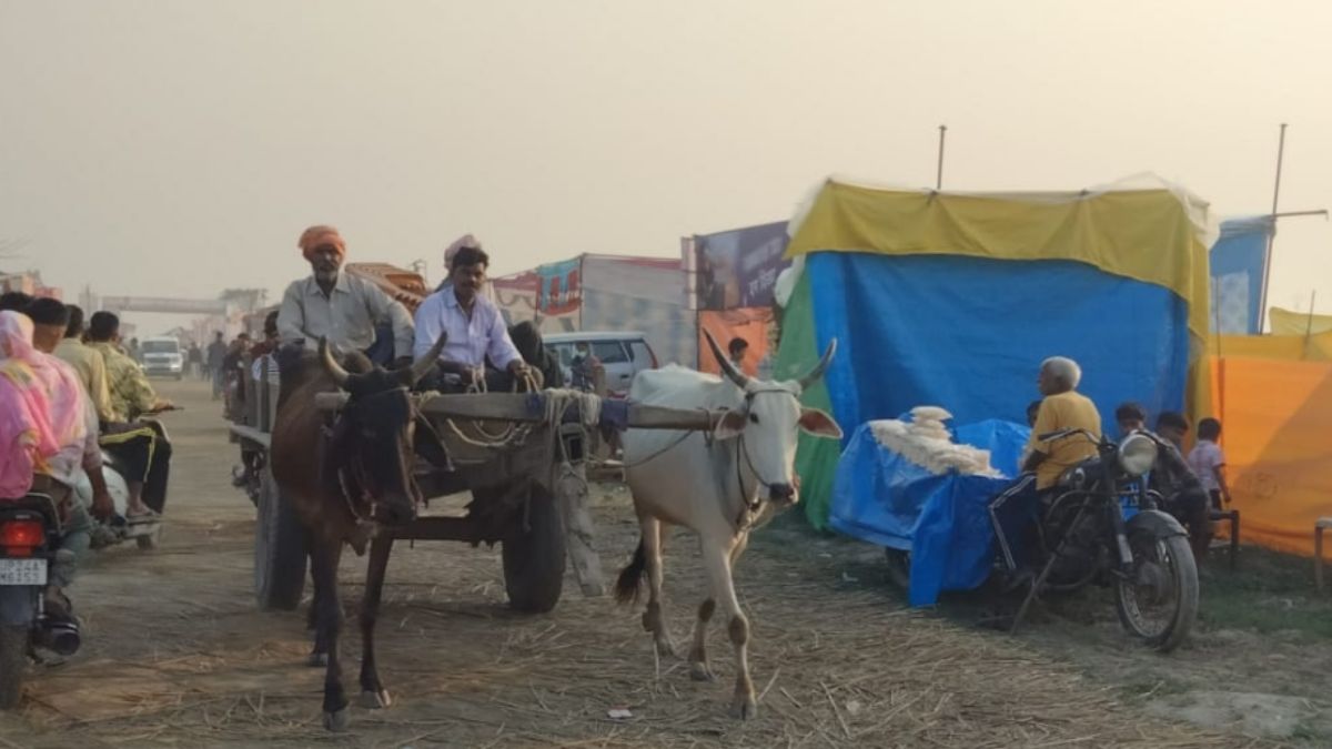 come to the banks of the ganga the city of tents is settled inauguration today