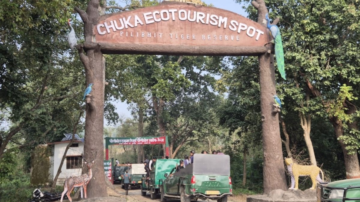 pilibhit tiger reserve taxi permits mandatory for pilibhit tiger reserve safari vehicles transport department tightens its grip