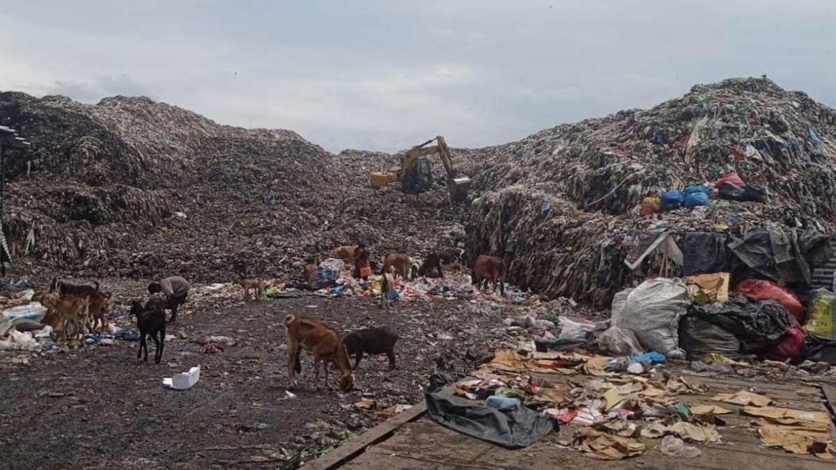 delhi clears 36 acres of land from garbage mountains