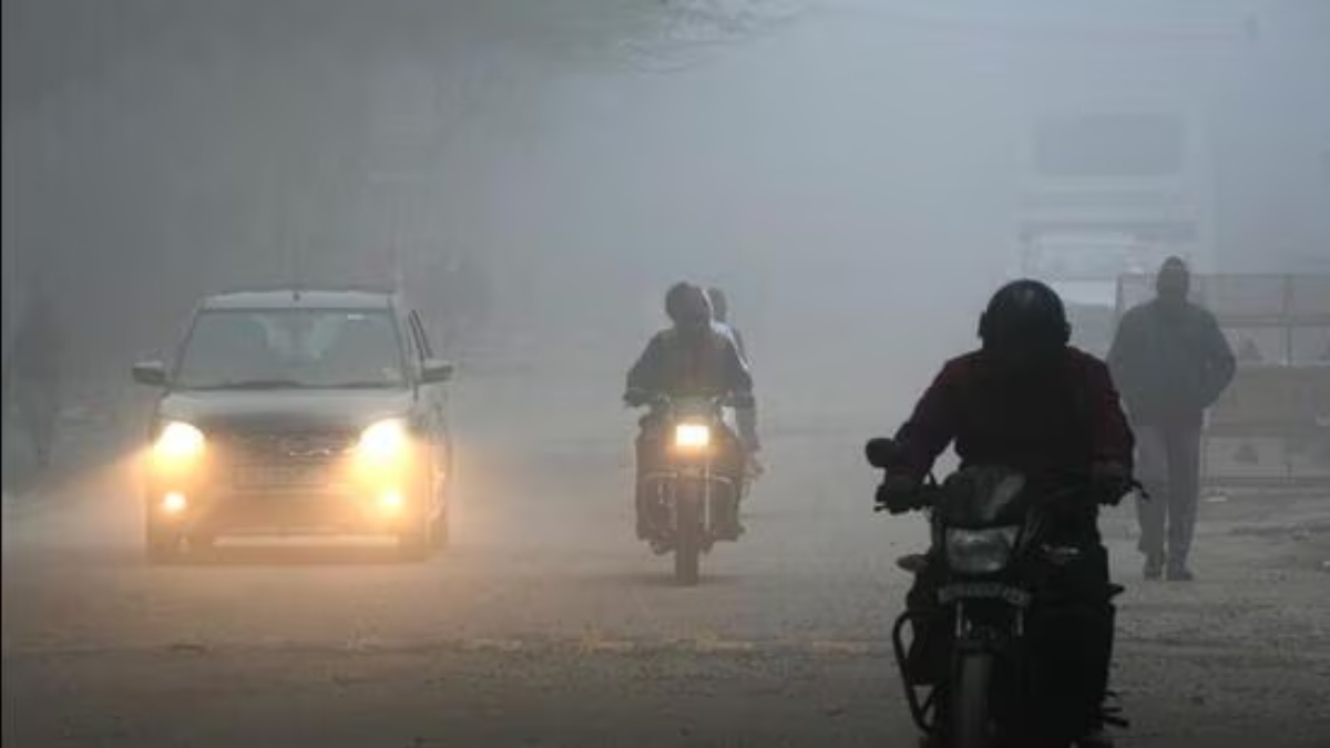 north india weather update cold wave intensifies with snowfall rain forecast