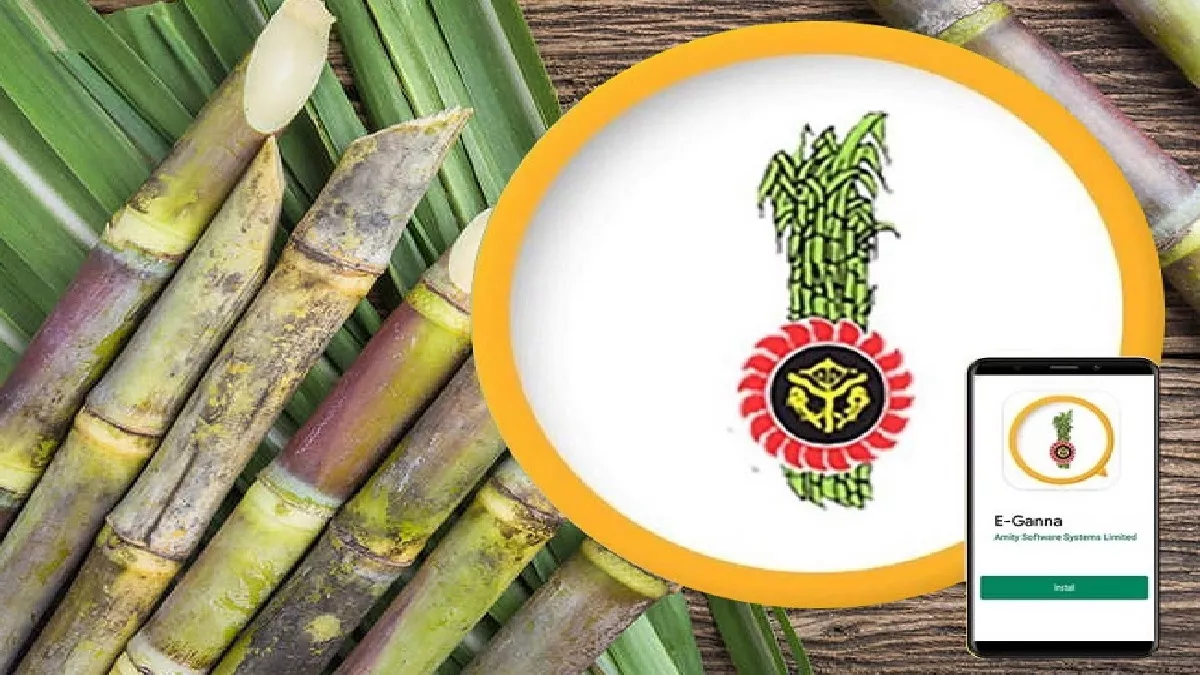 update mobile number for sugarcane slip messages