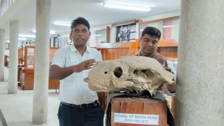 allahabad university skeletons rewriting world history after rakhigarhi