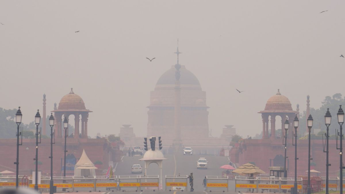 delhi air pollution rwas demand immediate government guidelines