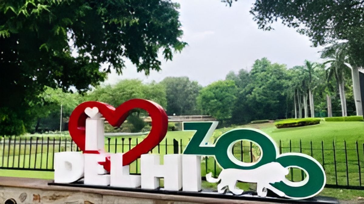 delhi zoo reopening process begins awaiting bird flu report