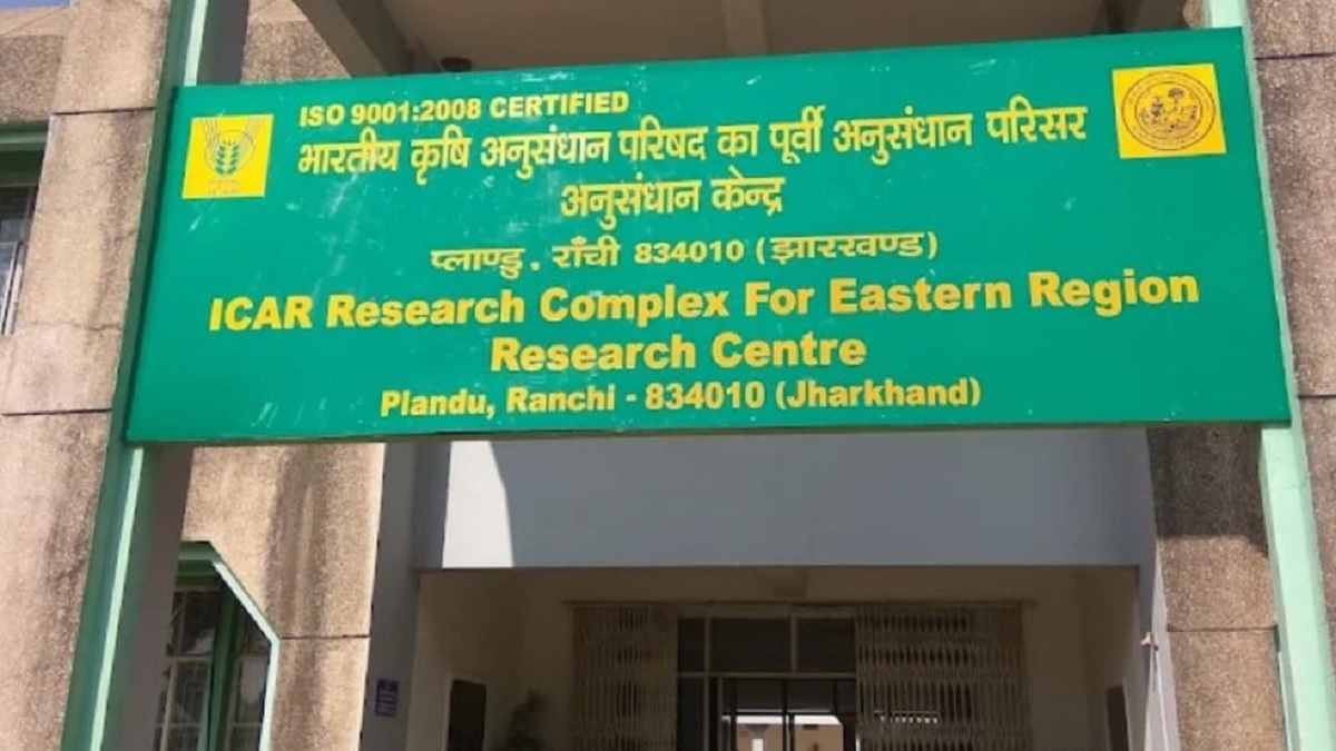 swarna vasundhara soybean variety developed in ranchi gains popularity