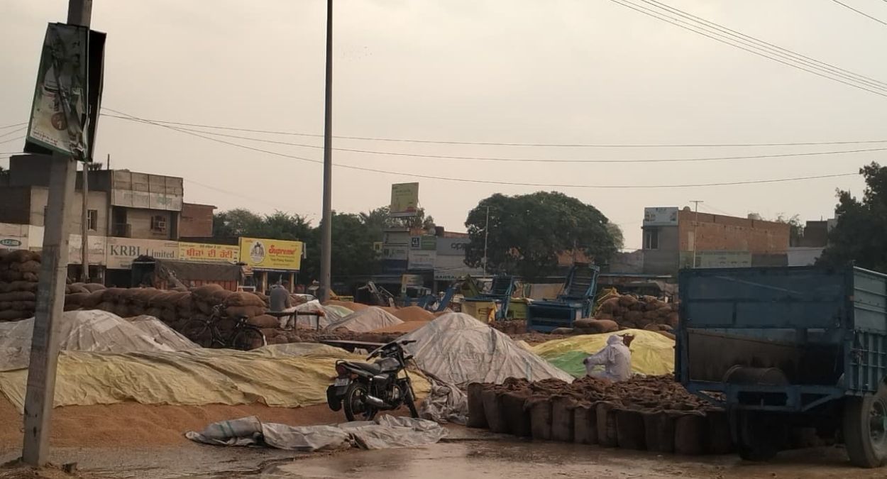 heavy rain and hailstorm damage paddy crop in mandis